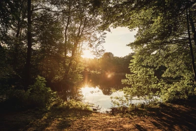Title image Friesland Bay