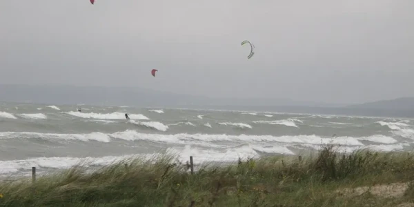 rs=w_776,h_388,cg_true (8)